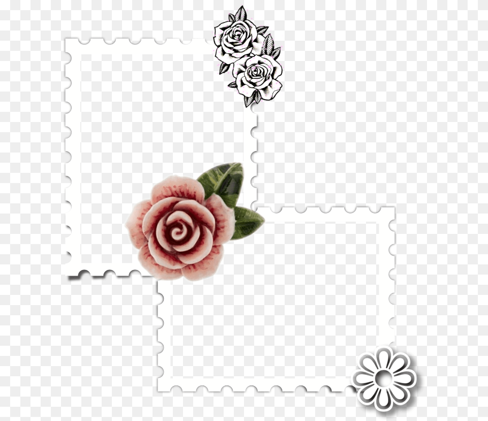 Stamp Frame Insert Photoframe Empty Garden Roses, Flower, Plant, Rose, Envelope Png Image