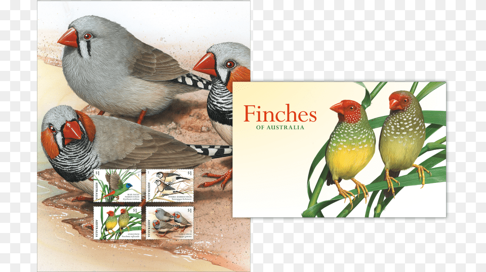 Stamp Pack Stamp Pack Australia Post Stamps 2018, Animal, Beak, Bird, Finch Free Transparent Png