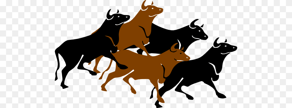 Stampede Of Bulls, Animal, Bull, Mammal, Ox Png Image