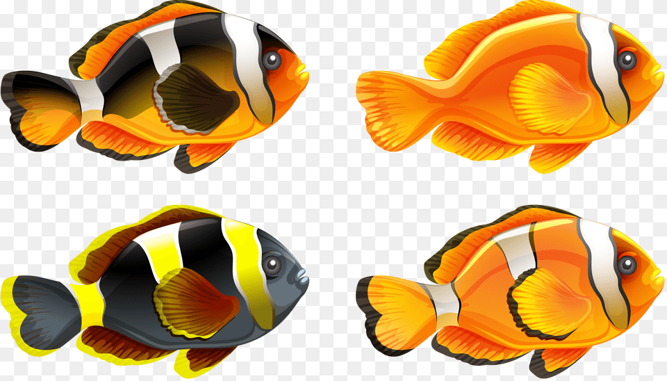 Stamps Fish Fish Art And Goldfish, Amphiprion, Animal, Sea Life, Shark Free Png Download