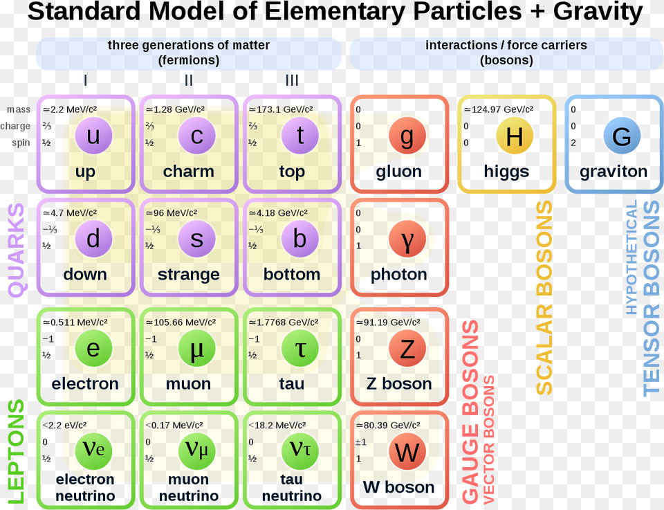 Standard Model Of Elementary Particles Gravity, Text Free Transparent Png