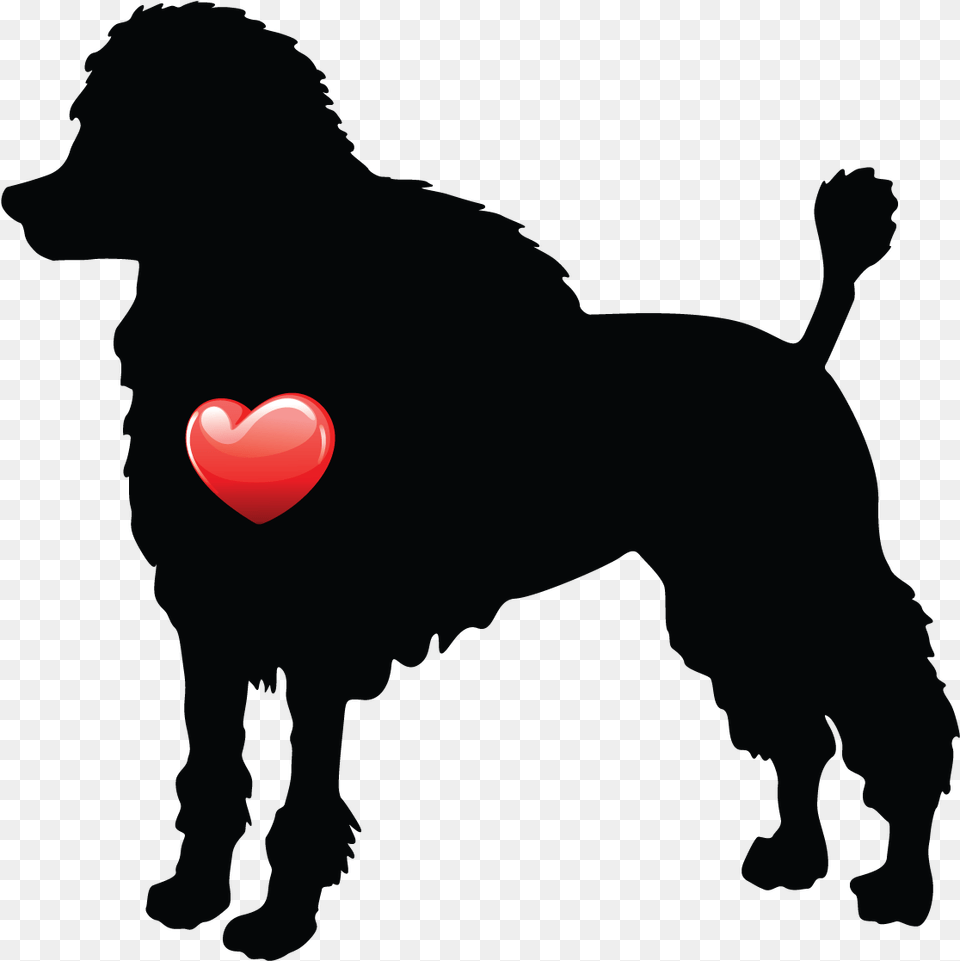 Standard Poodle, Heart Free Png