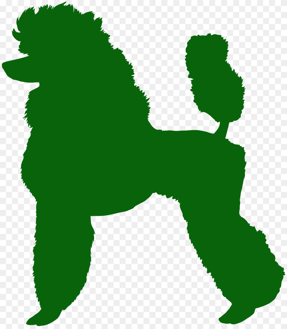 Standard Poodle Silhouette, Animal, Canine, Dog, Mammal Free Transparent Png