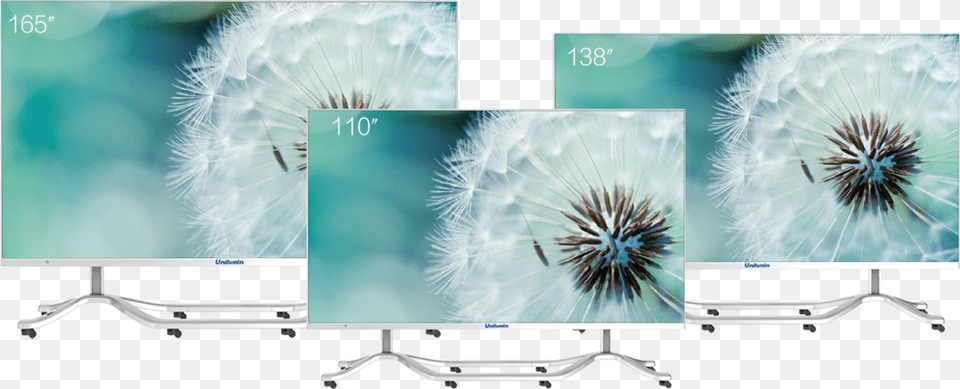Standard Resolution With Cable Less Design And Remote Unilumin Tv, Flower, Plant, Dandelion, Computer Hardware Free Png