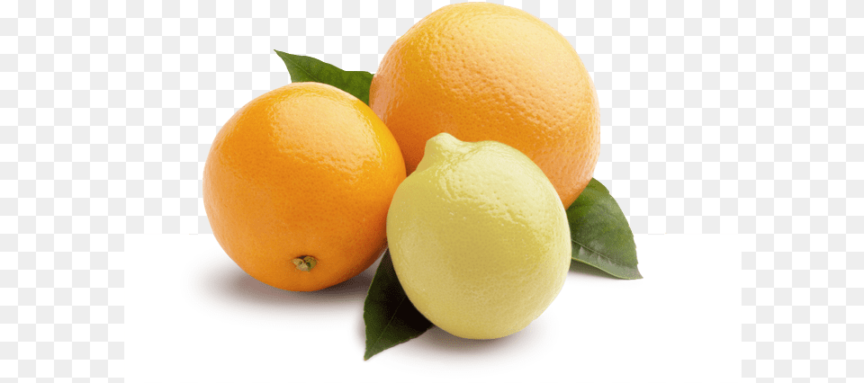 Standards Clementine, Citrus Fruit, Food, Fruit, Grapefruit Free Png