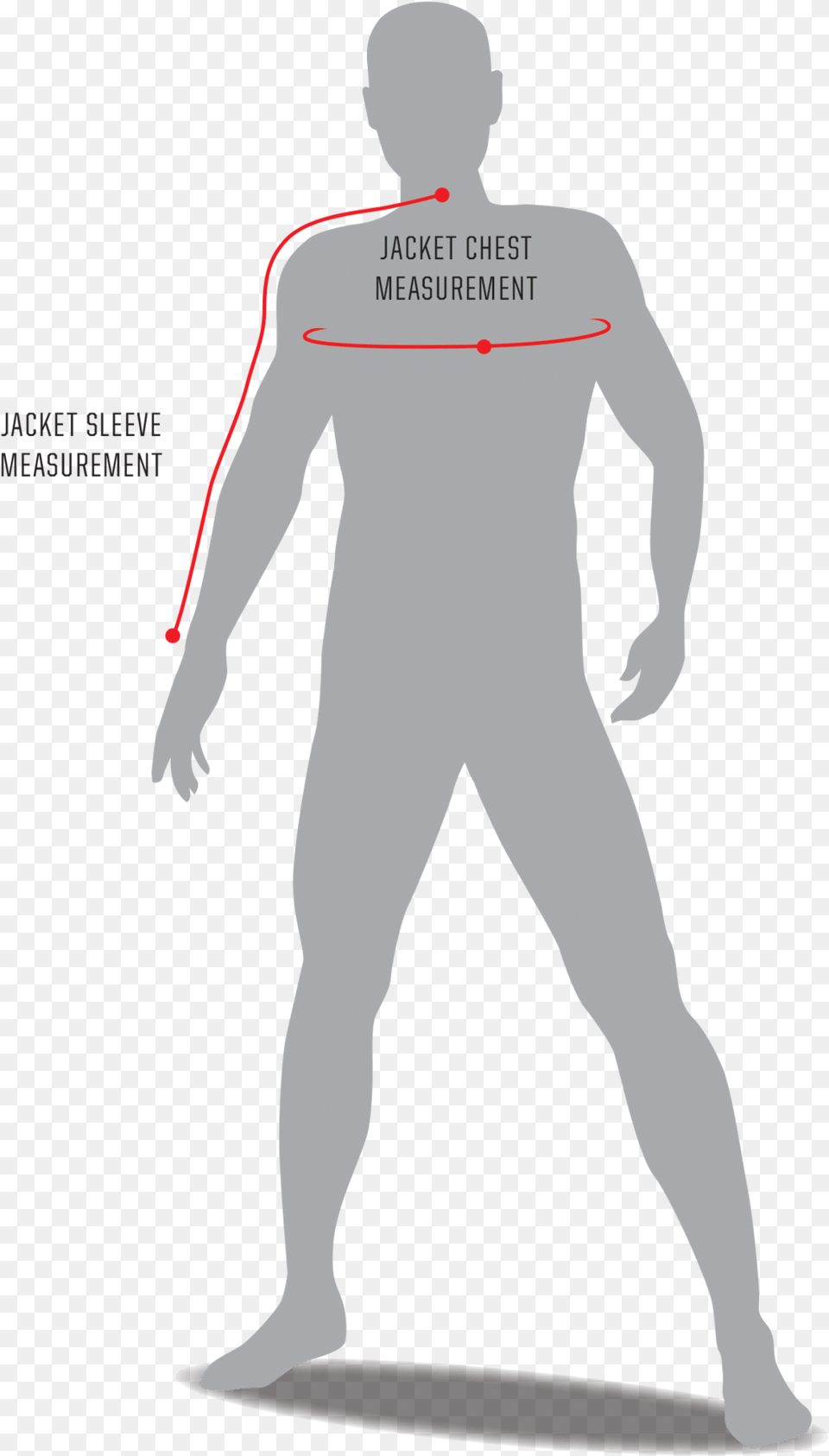 Standing, Chart, Plot, Adult, Male Png Image