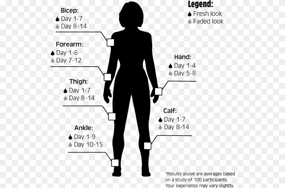 Standing, Chart, Plot, Silhouette, Adult Free Png Download