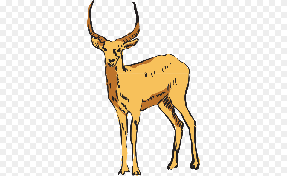 Standing Antelope Drawing Clip Art, Animal, Deer, Mammal, Wildlife Free Transparent Png