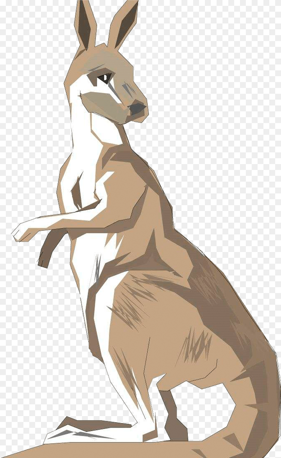 Standing Australia Kangaroo Back To See Drawing Clipart, Adult, Animal, Female, Mammal Png Image