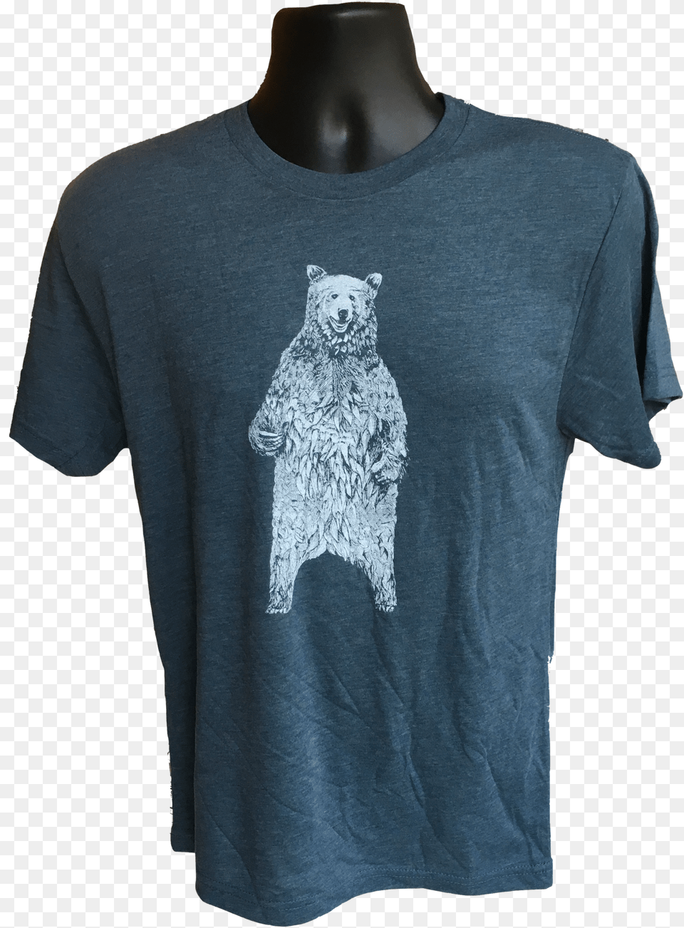 Standing Bear Short Sleeve Crew Neck Tri Blend T Shirt Anvil Adult Triblend T Shirt, Clothing, T-shirt, Animal, Mammal Free Png Download