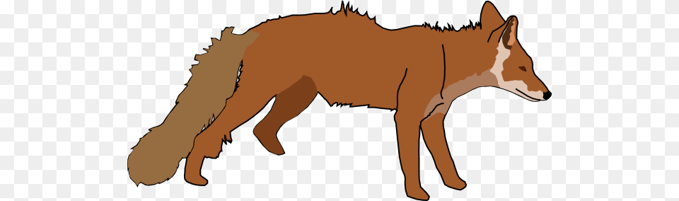 Standing Fox Clip Art, Animal, Coyote, Mammal, Canine Free Png