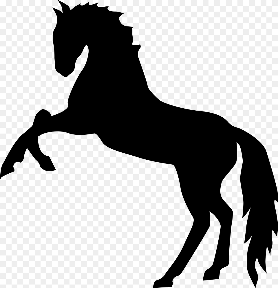 Standing Horse Silhouette Transparent Clip Art, Gray Free Png Download