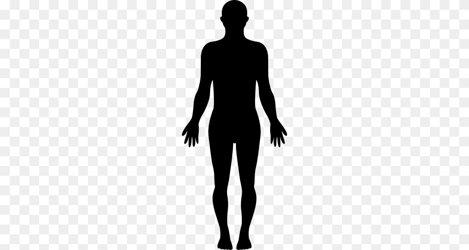 Standing Human Body Silhouette, Adult, Male, Man, Person Free Png Download