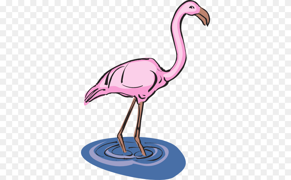 Standing In Clip Art At Clker Com Flamingo In Water Clipart, Animal, Bird Free Png