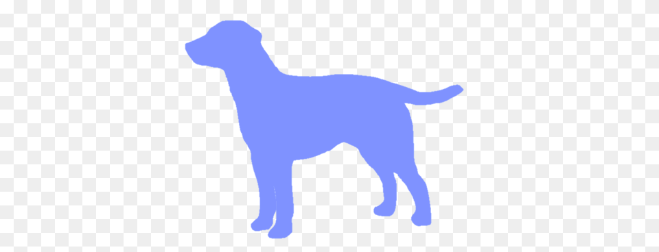 Standing Labrador Retriever Decal Wicked Whiskerz, Animal, Canine, Dog, Labrador Retriever Free Png Download