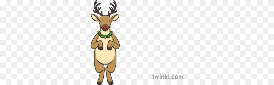 Standing Rudolph Reindeer Animal Hind Legs Red Nose Reindeer Twinkl, Deer, Mammal, Wildlife, Cartoon Png Image