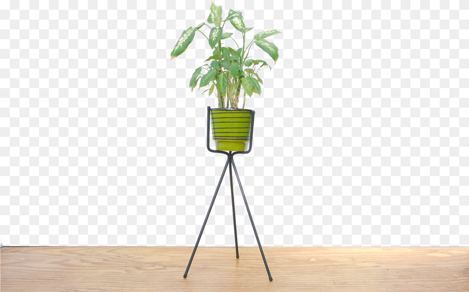 Standing Tripod Planter Bazaar, Jar, Plant, Potted Plant, Pottery Free Png