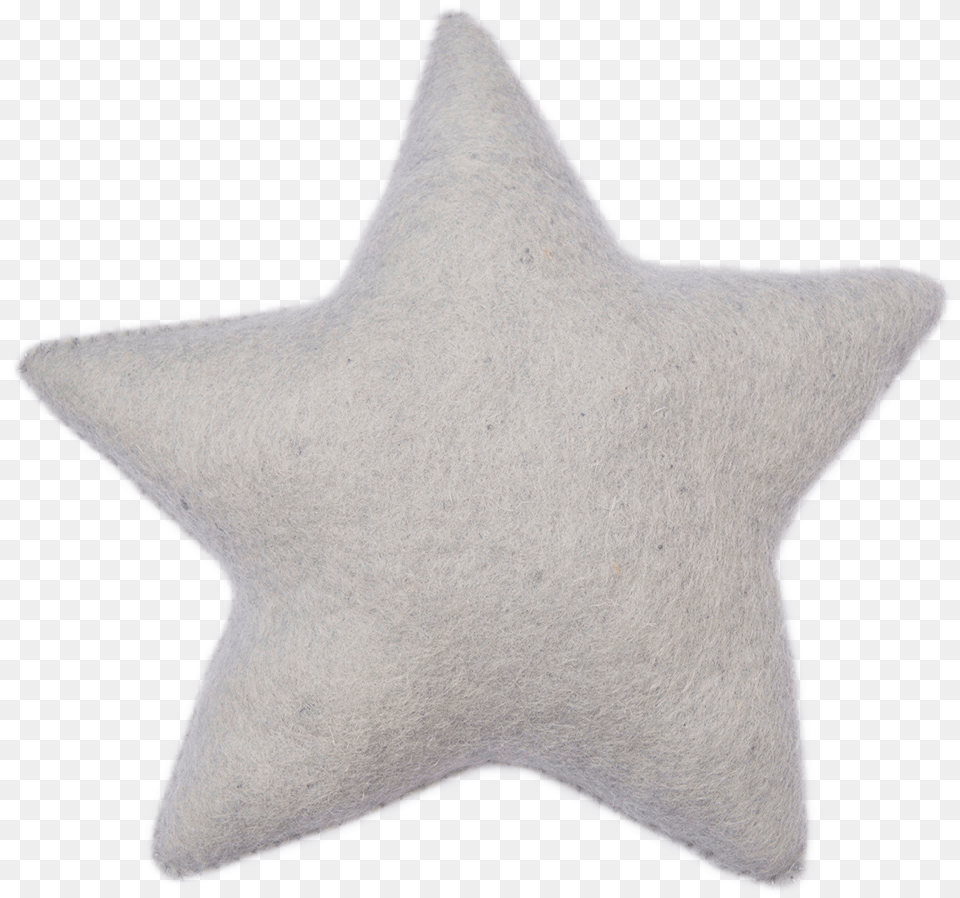 Star, Star Symbol, Symbol, Animal, Fish Png Image