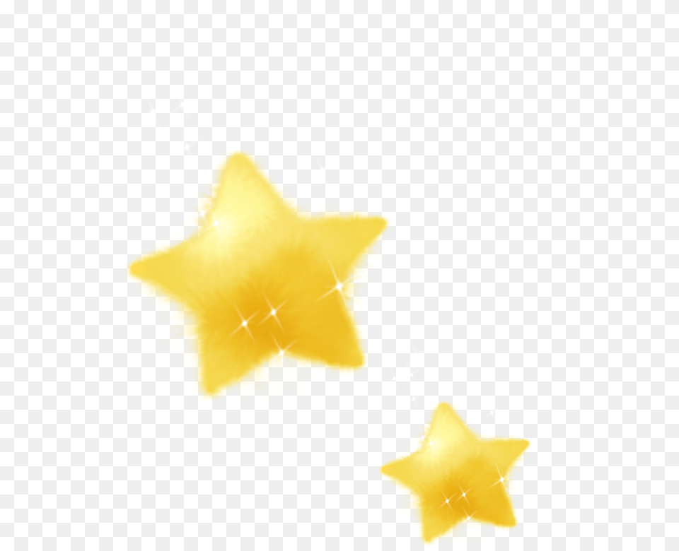 Star, Star Symbol, Symbol, Flower, Plant Free Png Download