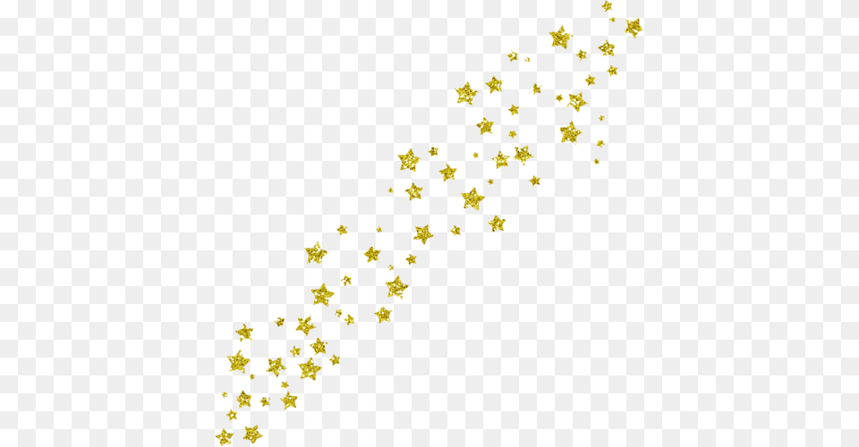 Star, Flower, Plant, Pollen Free Transparent Png