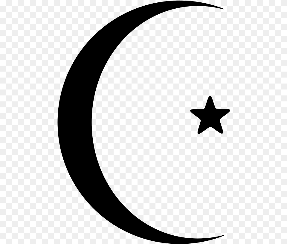 Star And Crescent Moon Flag Of Turkey Turkey Flag Black White, Gray Free Png Download