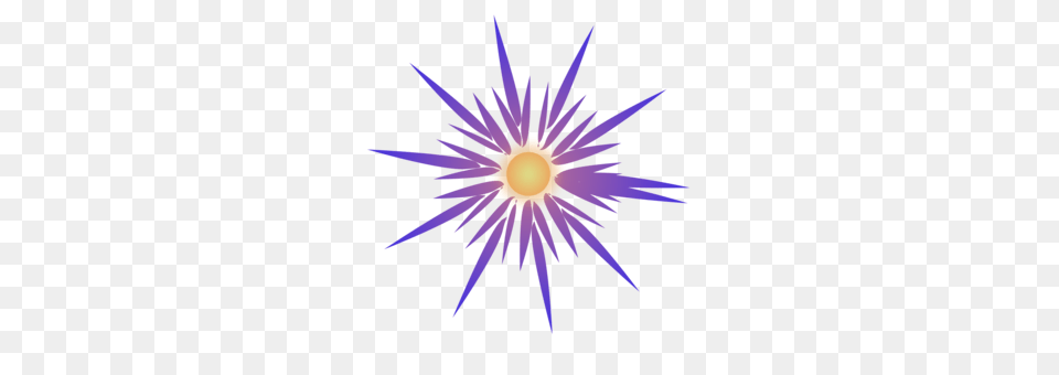 Star Drawing Computer Icons, Flare, Light, Lighting, Fireworks Png Image