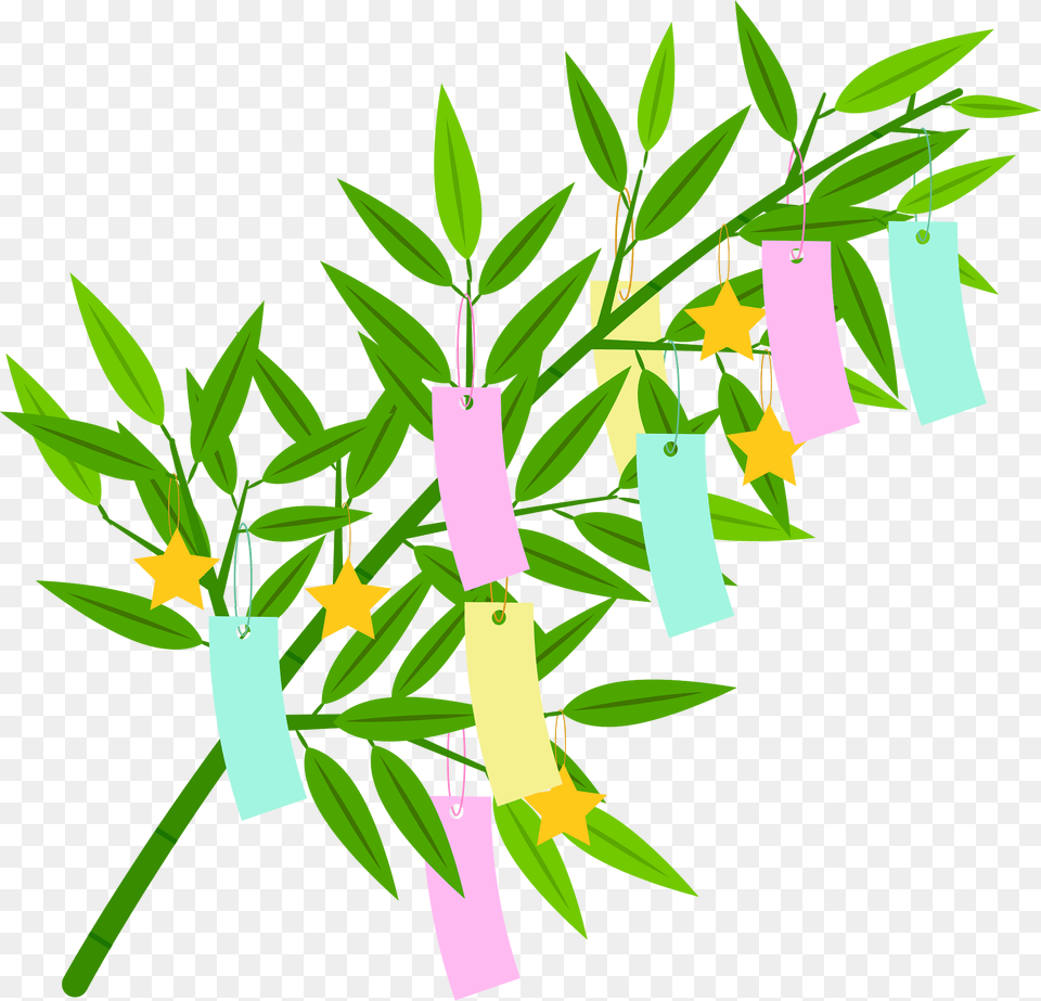 Star Festival Clipart, Green, Vase, Pottery, Potted Plant Png Image