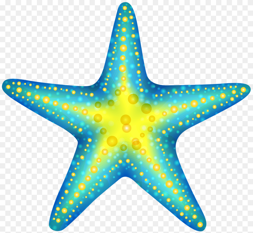 Star Fish Clipart Png Image