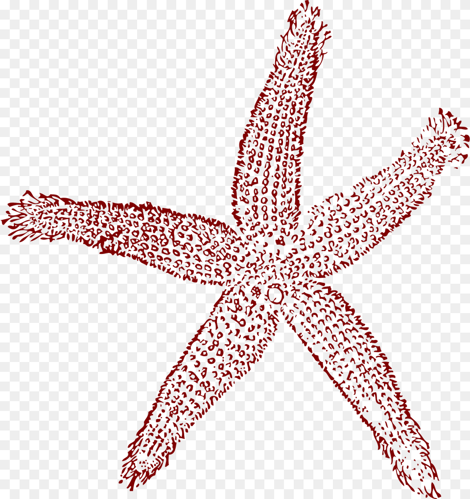 Star Fish Clipart, Animal, Sea Life, Invertebrate, Starfish Free Transparent Png