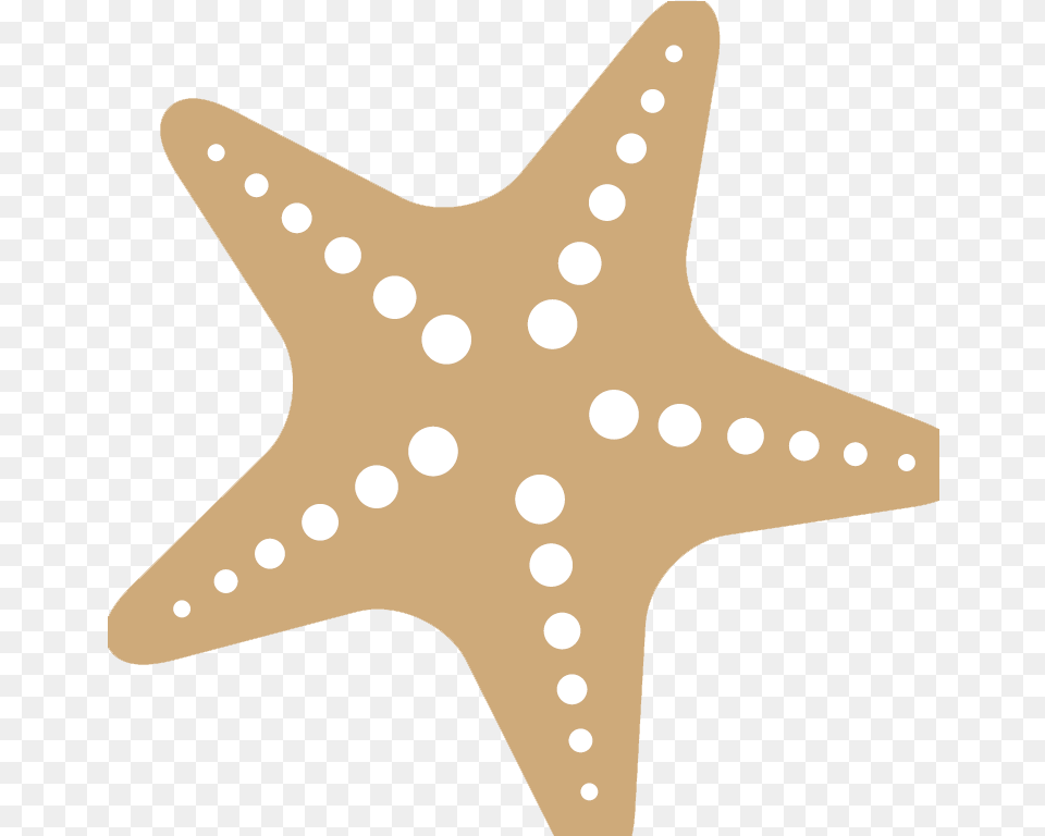 Star Fish Silhouette Starfish, Animal, Sea Life, Shark Png