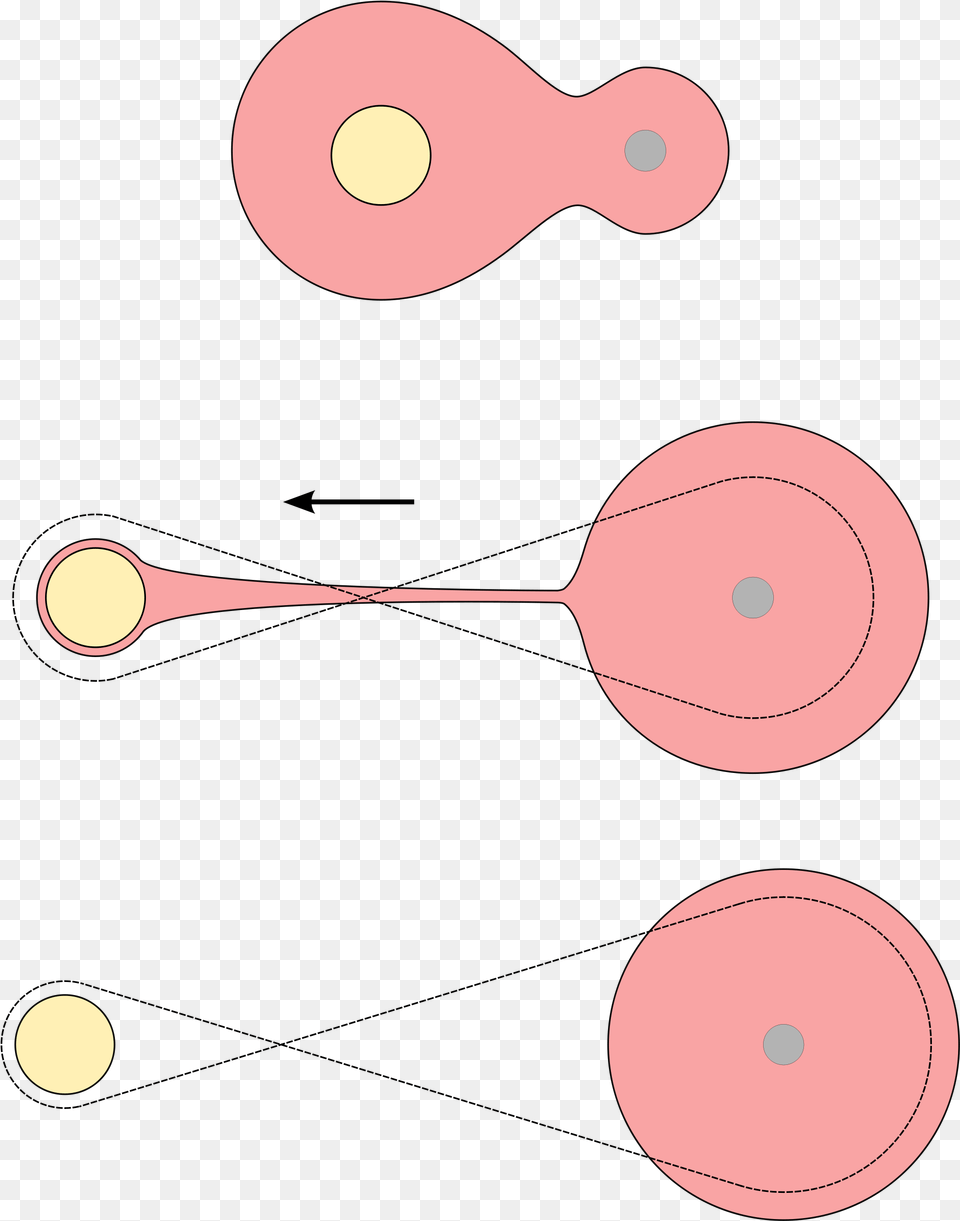 Star Fission Common Envelope Fission Hypothesis Binary Star, Cutlery, Spoon, Smoke Pipe, Food Free Png