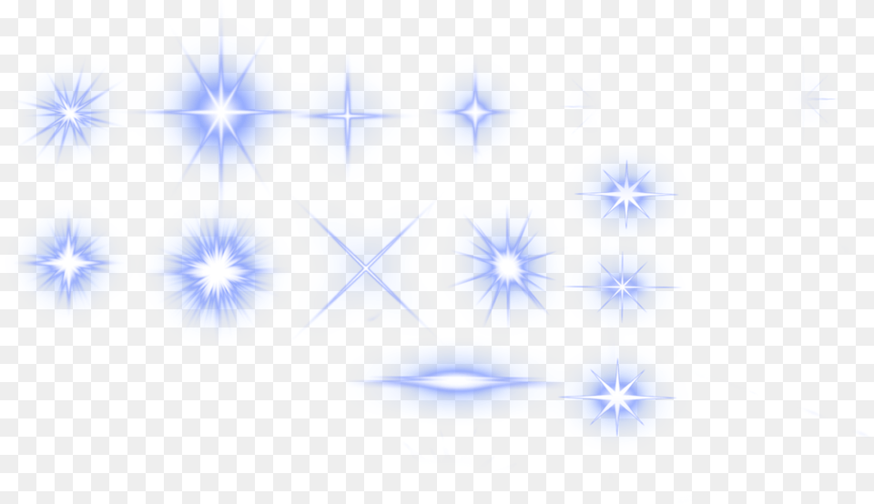 Star Flare, Flower, Plant, Person, Geranium Free Png