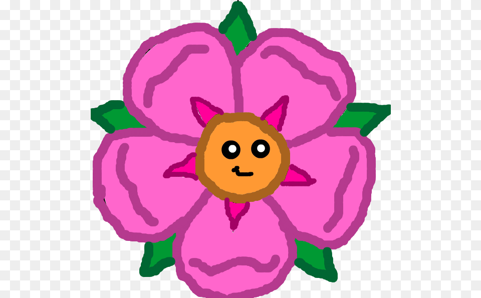 Star Flower Cf3 Hd Wiki, Anemone, Plant, Petal, Baby Free Png