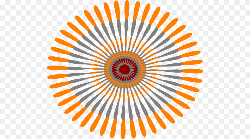 Star Flower Orange Svg Clip Arts 25 Seconds Timer, Pattern, Spiral, Art, Cutlery Free Png Download