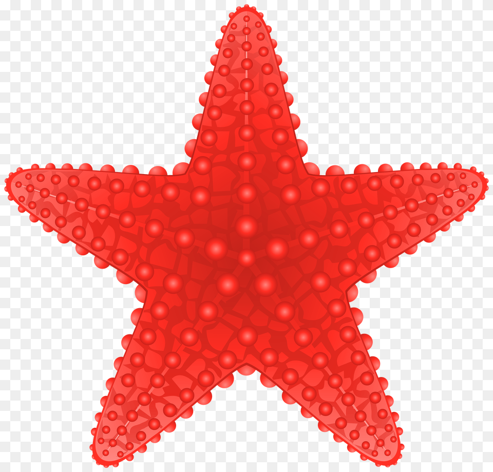 Star Free Download 8 Star Icon Png Image