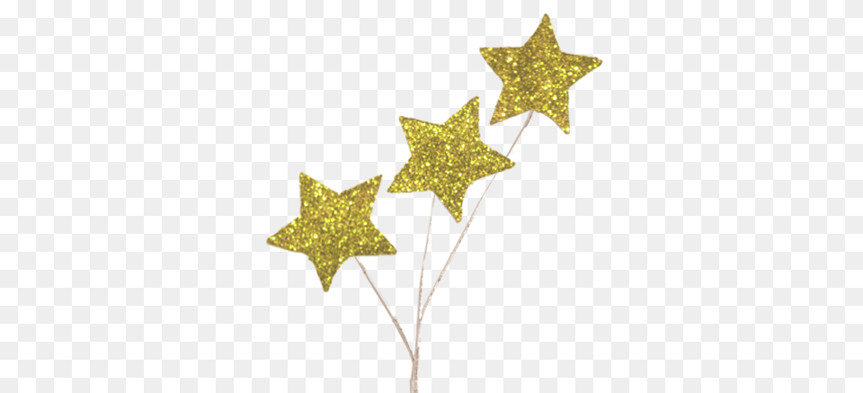 Star Glitter Spray Gold 1 Pc Pkg Star, Leaf, Plant, Star Symbol, Symbol Free Png