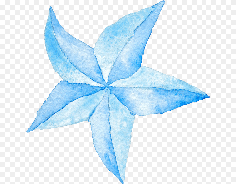 Star Lanterns, Leaf, Plant, Paper, Symbol Png Image