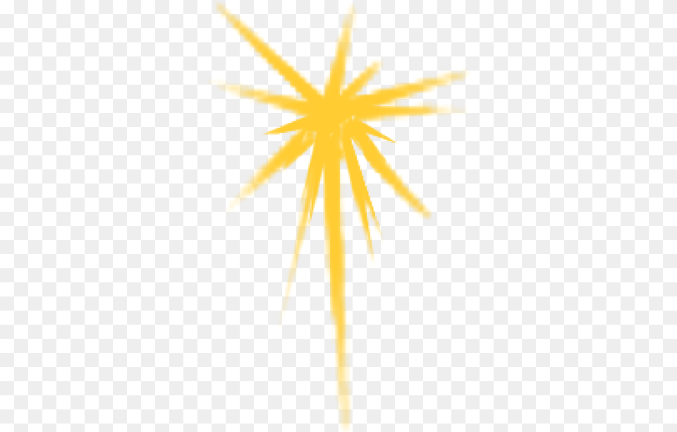 Star Of Bethlehem Bethlehem Star, Flower, Plant, Cross, Symbol Free Transparent Png