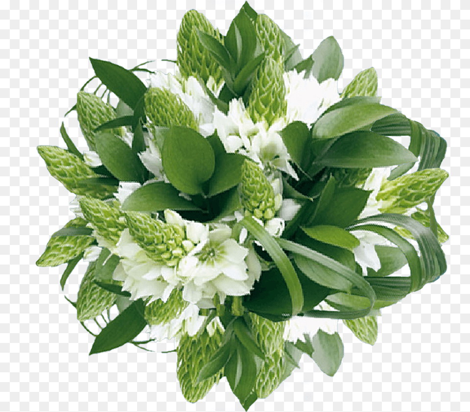 Star Of Bethlehem Flower Bouquet, Flower Arrangement, Flower Bouquet, Plant, Art Free Png