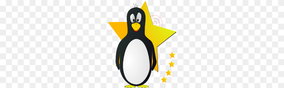Star Penguin Clip Art, Animal, Bird Free Transparent Png