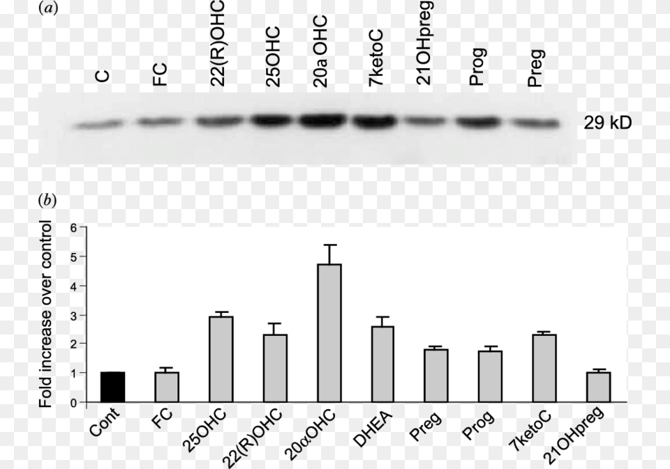 Star Protein Levels Are Upregulated By Both Sterols Skyline Free Transparent Png