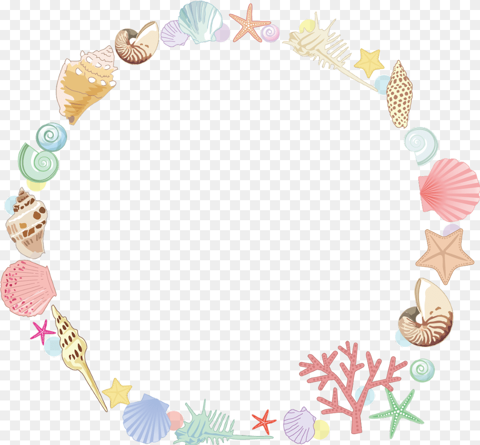 Star Sea Summer Seastar Shell Coral Colorful Seashell Frame, Animal, Sea Life, Invertebrate, Accessories Free Png Download