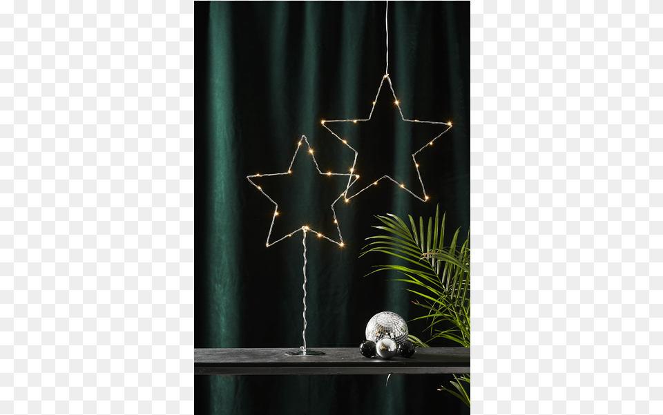 Star Sparkling Curtain, Animal, Sea Life, Reptile Free Transparent Png