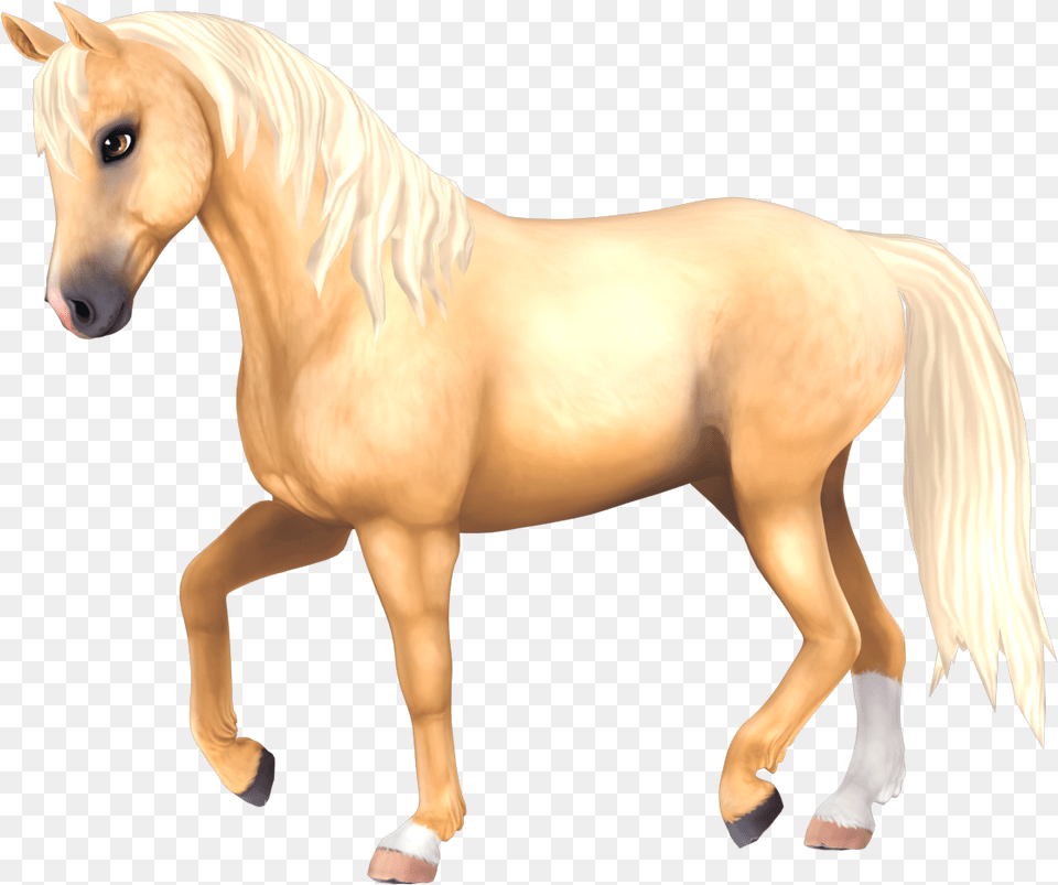 Star Stable Horse, Animal, Colt Horse, Mammal, Stallion Free Transparent Png