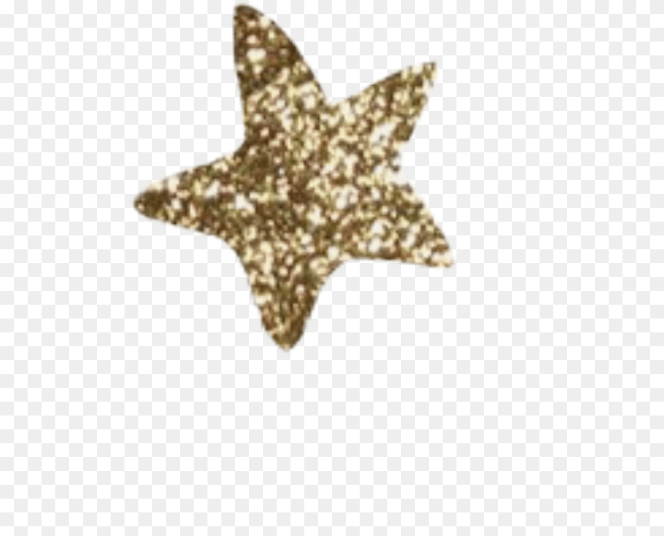 Star Stars Gold Glitter Sticker Edit Goldglitter Marine Invertebrates, Star Symbol, Symbol Free Png Download