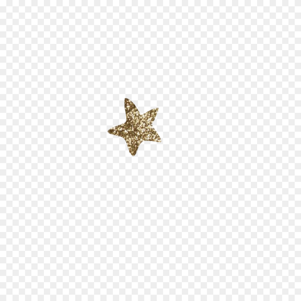 Star Stars Gold Glitter Sticker Edit Marine Invertebrates, Star Symbol, Symbol, Accessories Png