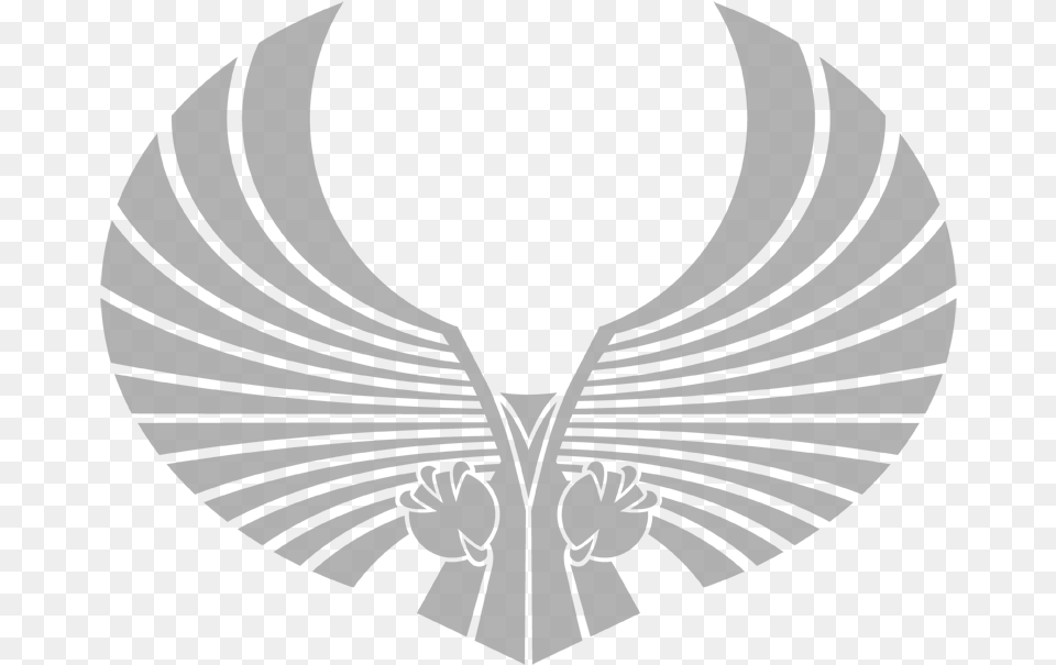 Star Trek Romulan Logo Mens Regular Warhammer 40k Aquila, Emblem, Symbol, Adult, Female Free Transparent Png