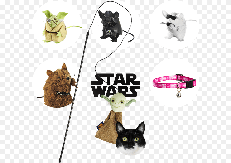 Star Wars, Accessories, Animal, Cat, Mammal Png Image