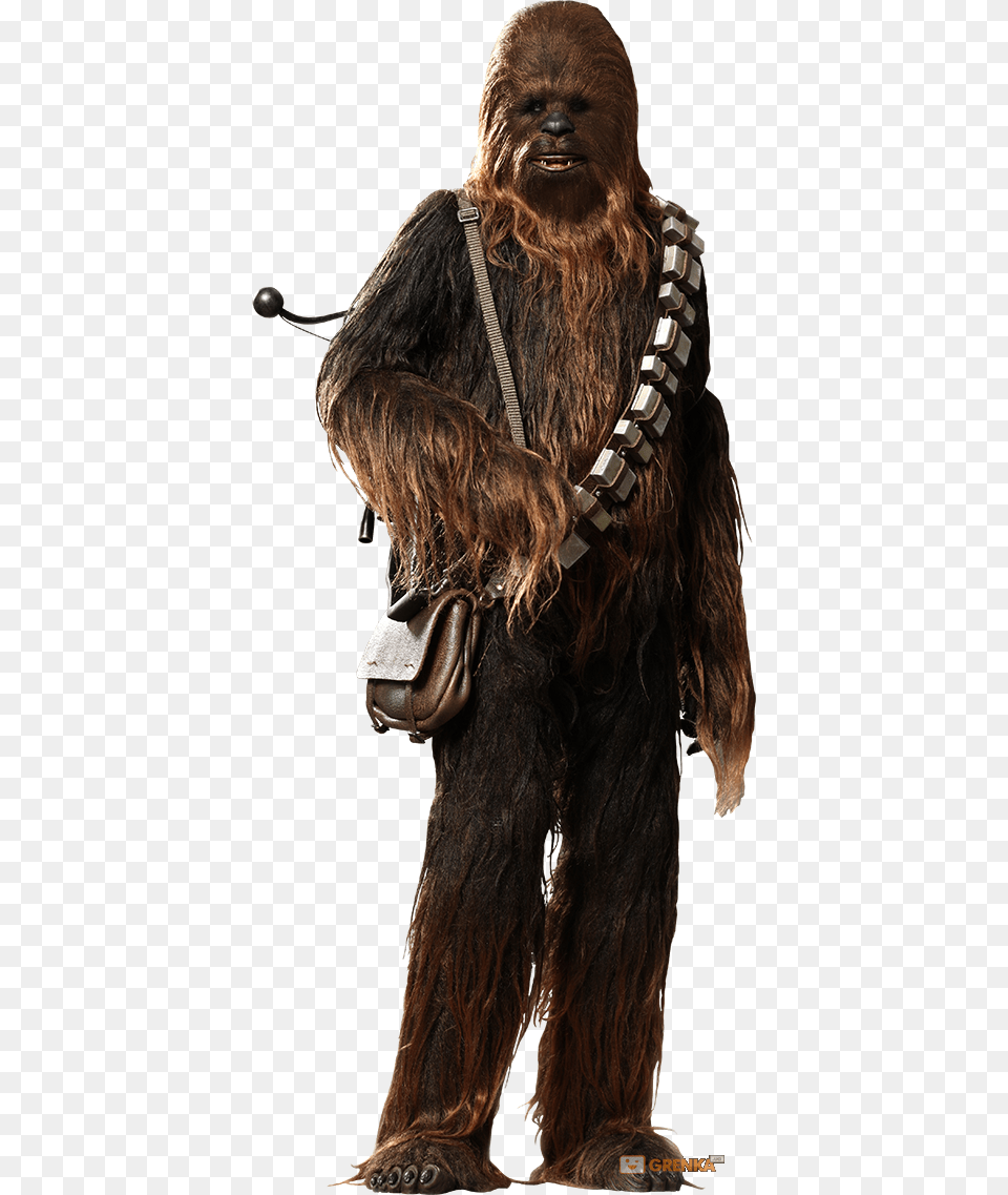 Star Wars Chewbacca, Adult, Female, Person, Woman Free Png