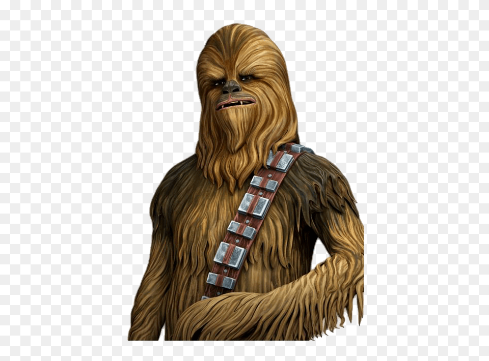 Star Wars Chewbacca 4 Image Star Wars The Clone Wars Chewbacca, Animal, Mammal, Monkey, Wildlife Free Png Download